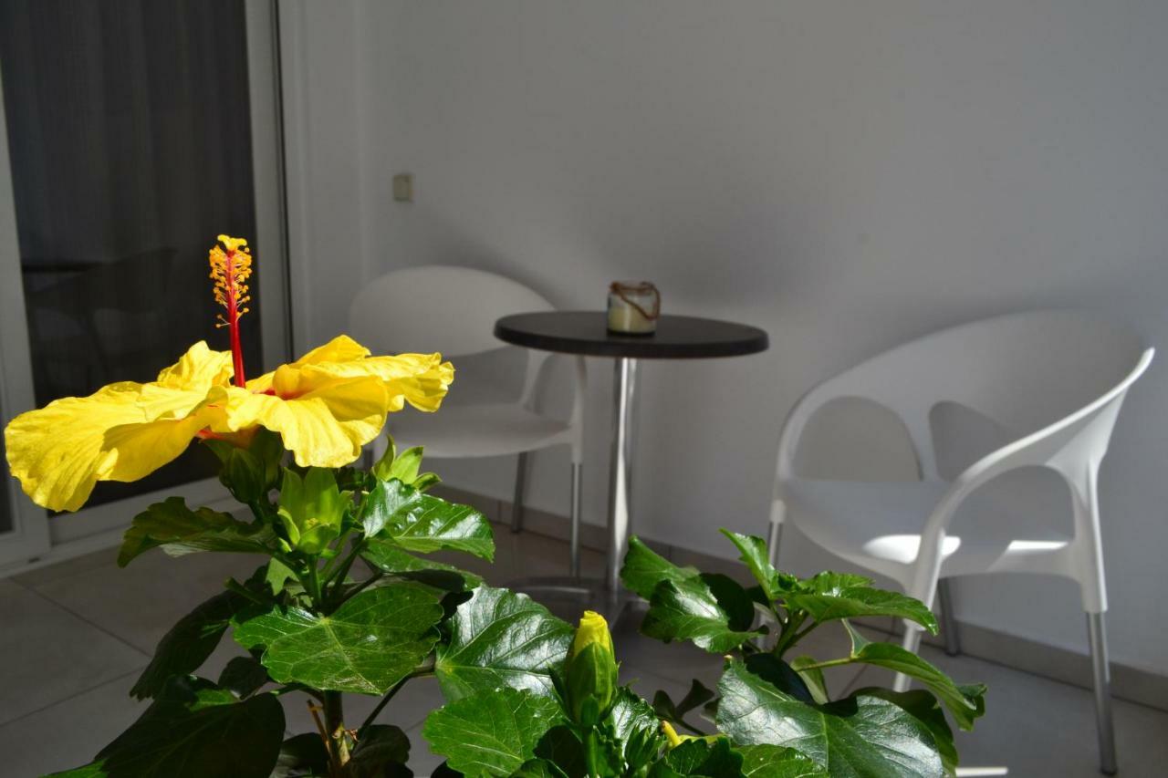 Paraskevi'S Apartments Kissamos Ngoại thất bức ảnh